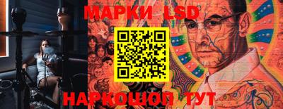 гидра Будённовск