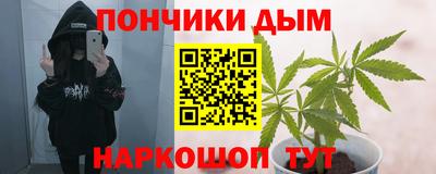 гидра Будённовск