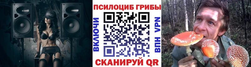 Псилоцибиновые грибы прущие грибы  Буйнакск 