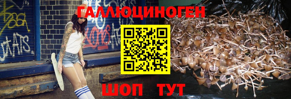 ГАШ Буйнакск