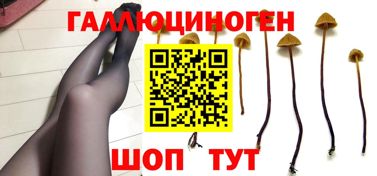 Галлюциногенные грибы Cubensis  Буйнакск  Галлюциногенные грибы прущие грибы 